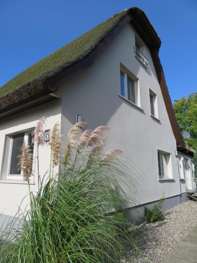 Boddenhaus Darss Daire Wieck auf dem Darss Dış mekan fotoğraf