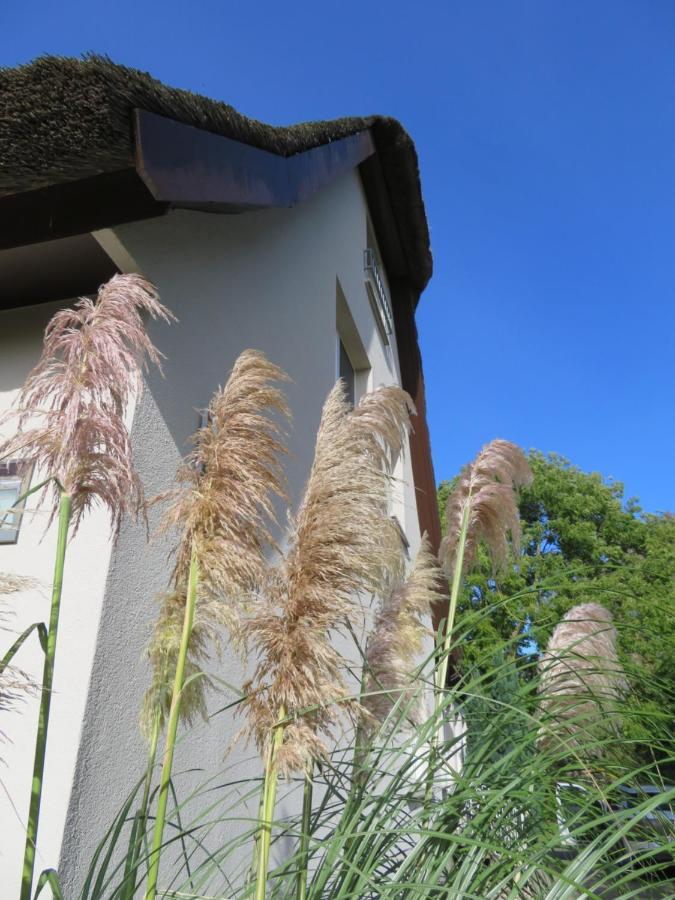 Boddenhaus Darss Daire Wieck auf dem Darss Dış mekan fotoğraf