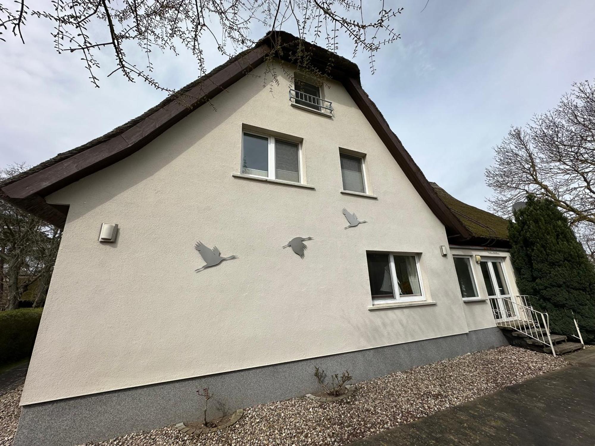 Boddenhaus Darss Daire Wieck auf dem Darss Dış mekan fotoğraf